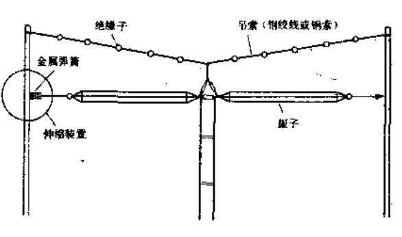 1654153503576924.jpg TN217.jpg